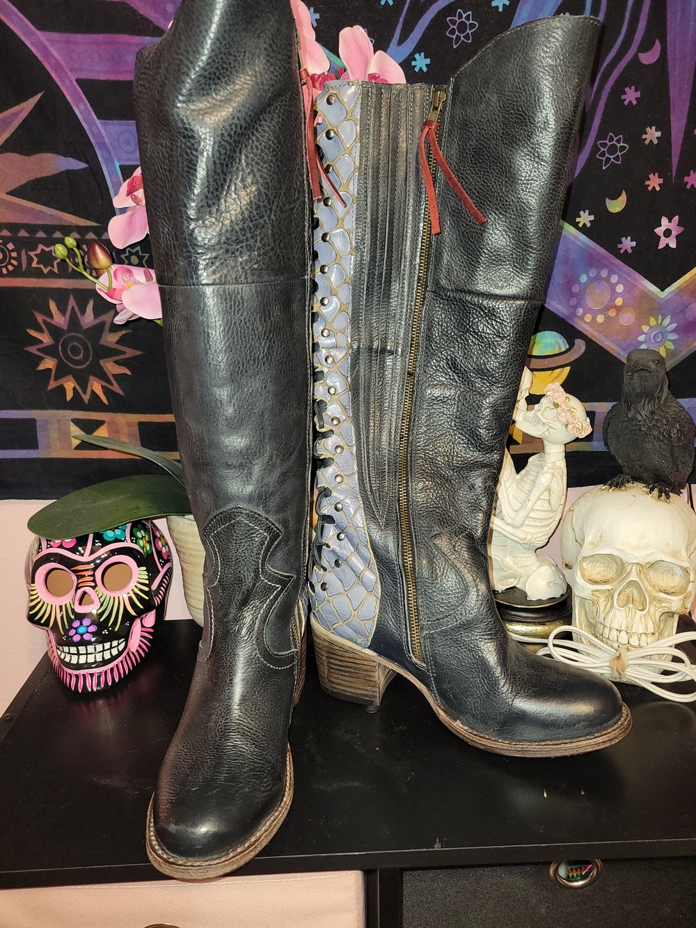 Freebird Black Leather Boots with Blue Side Panel and Lace-Up